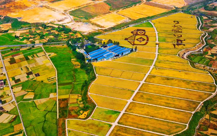 淳安县汾口镇:大地披彩秋意浓