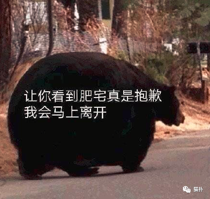 奔现翻车狗血现场：妹子已到车站，却因为视频被拉黑？！休闲区蓝鸢梦想 - Www.slyday.coM