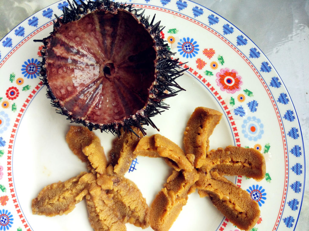 海胆的神仙吃法海胆黄蒸蛋神仙也不换营养丰富改善记忆力