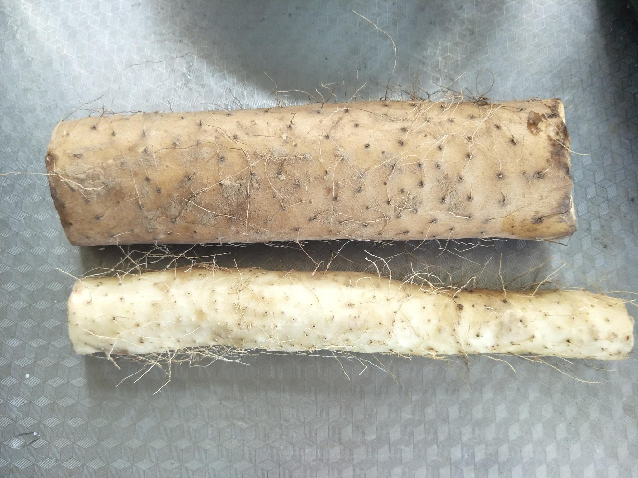 教你1招,山药又白又脆,超好吃|山药|炒山药|青辣椒_新浪新闻