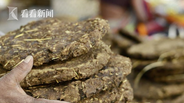 视频印度推出用牛粪做的芯片专家称能防手机辐射