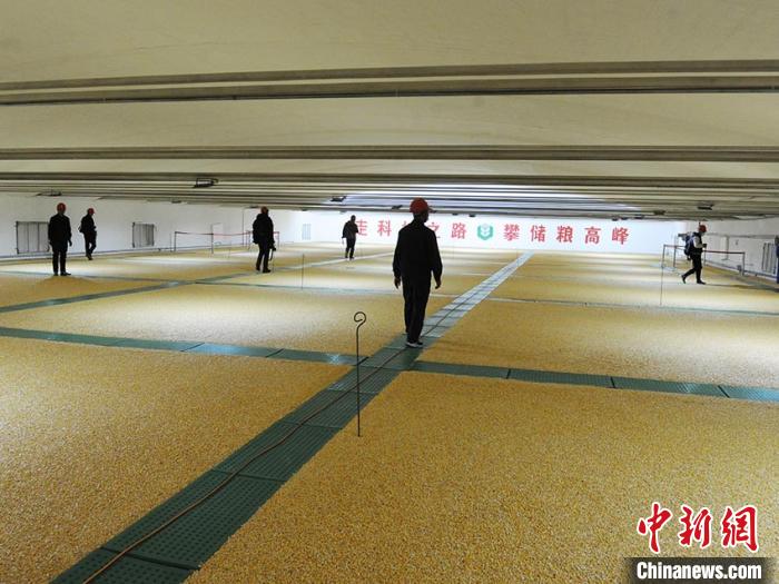 探秘大国粮仓科技和感官为粮食安全上了双保险