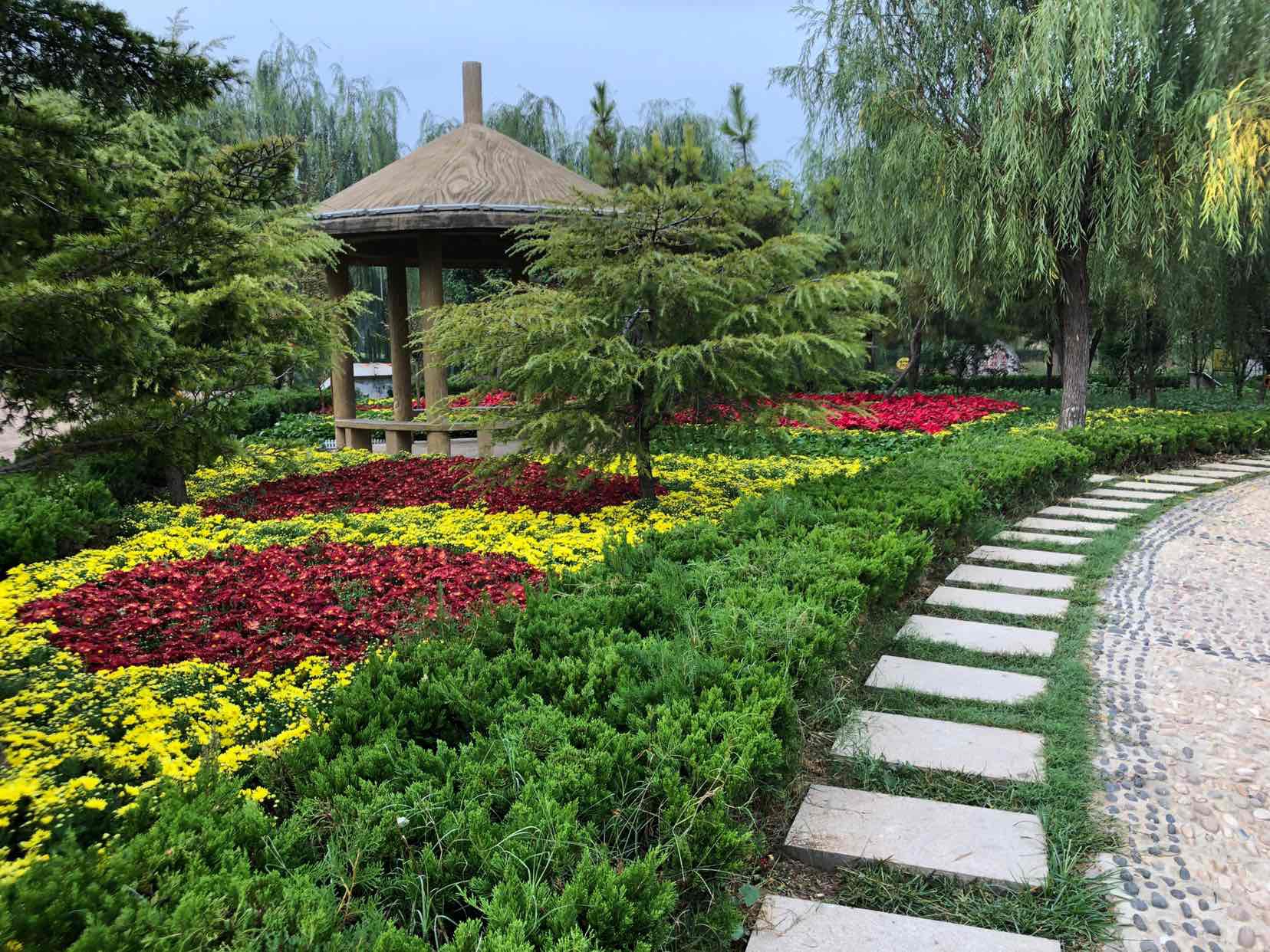 爱家乡,爱美景,禹城徒骇河国家湿地公园即景