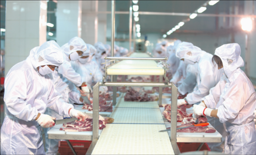 猪肉制品生产线 供图