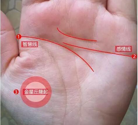 拥有三种手相的人,财运好,婚姻美满,家庭顺利,今年行大运!