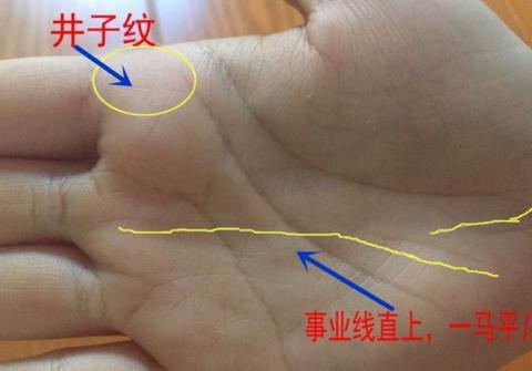 手相：拥有五种财富纹，财运丰隆，事业佳！|财富|财运|太阳线_新浪新闻
