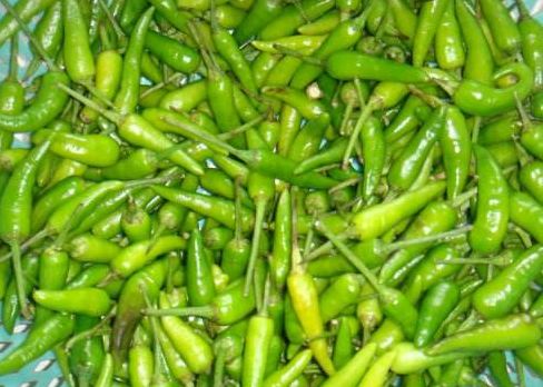 野山椒好处颇多,吃法丰富,帮助缓解疼痛,还可预防感冒