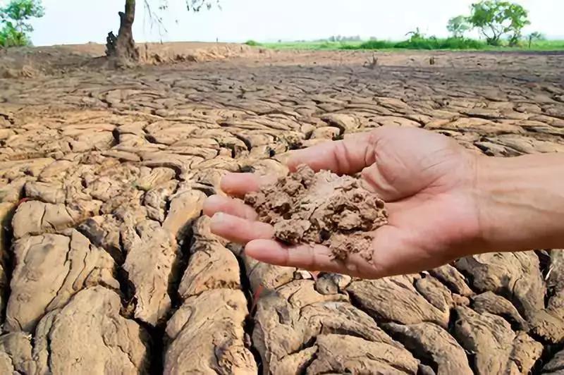 土壤污染法,化肥农药零增长(负增长),有机肥替代化肥,等等行动.