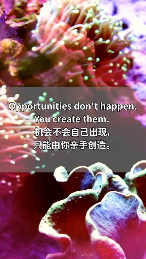 机会都是靠自己的双手去创造励志英语英语美文朗读_新浪新闻