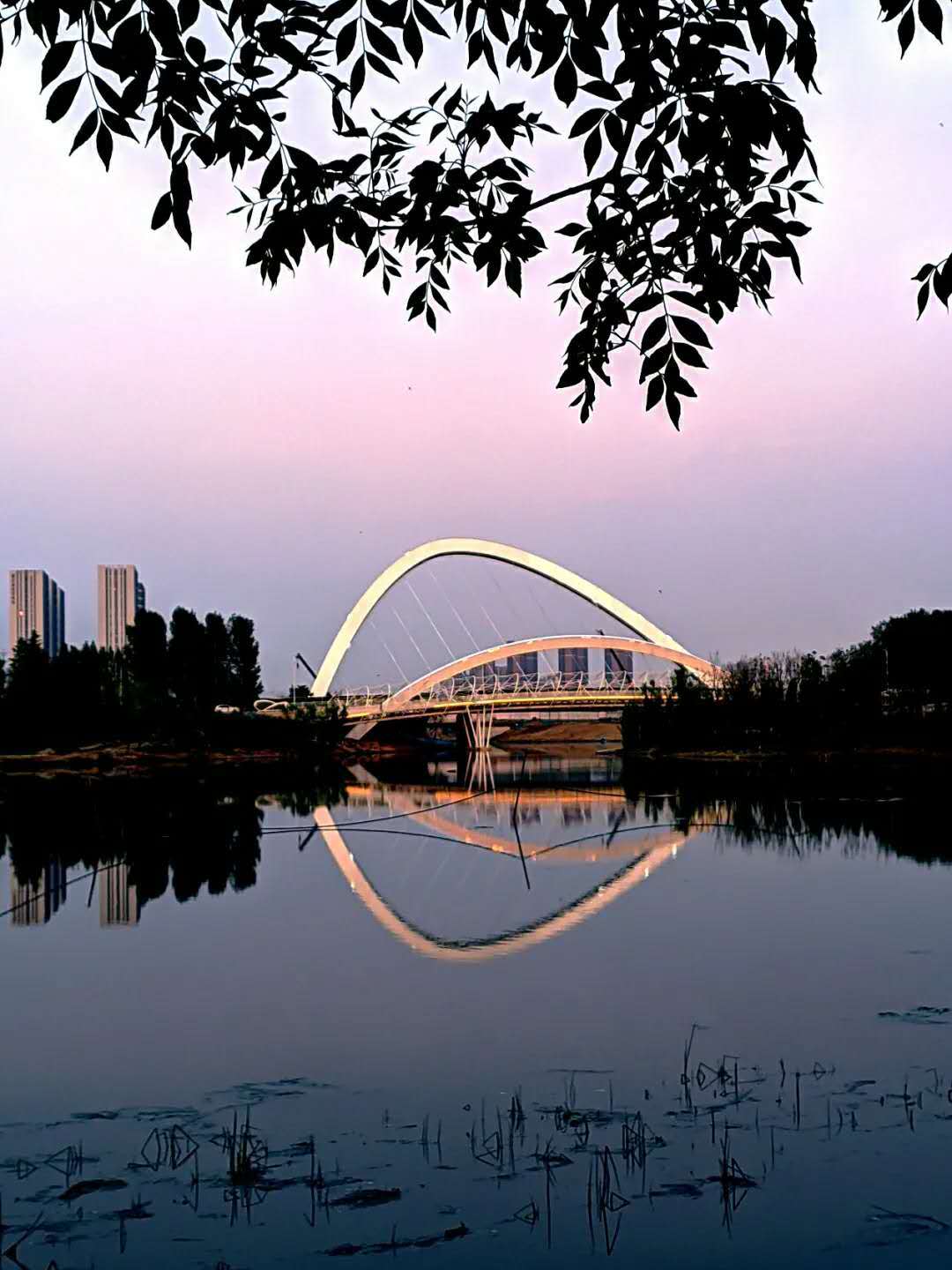 滨河国际新城又一网红桥获河南省优质工程奖