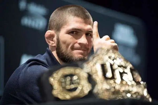 不足十天小鹰哈比布再次归来