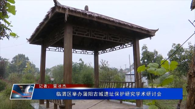 临渭区举办蒲阳古城遗址保护研究学术研讨会