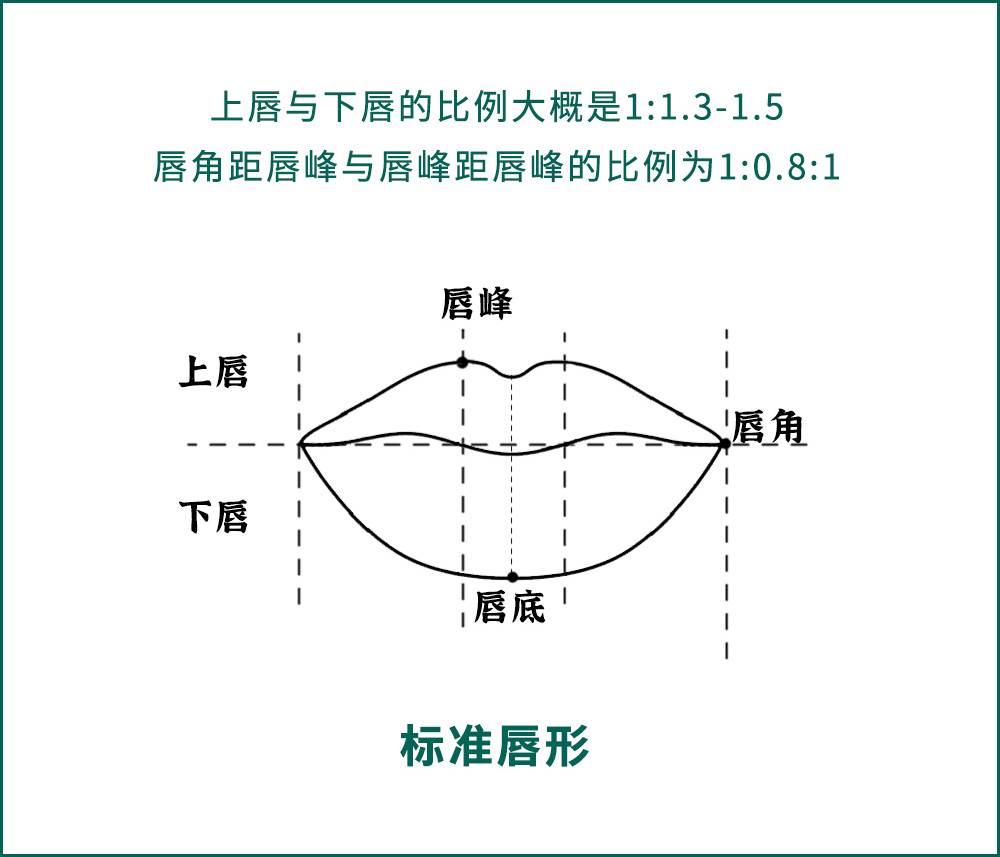 美学中"好看"的嘴唇应该满足下面两个标准:虽然刚才已经投了一波票,但