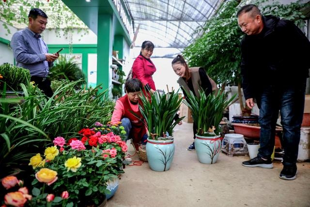 长兴经济在浙江排名_浙江湖州长兴水产养殖“机器换人”