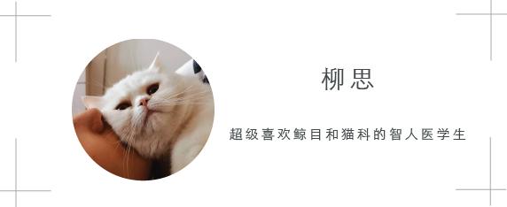 喵喵喵 我们可以去猫咖放心撸猫吗 猫 新浪科技 新浪网 喵喵喵 我们可以去猫咖放心撸猫吗 猫 新浪科技 新浪网