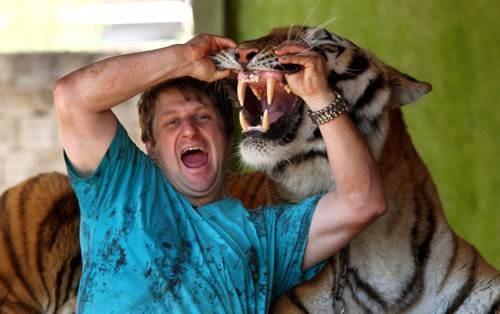 人家养小猫小狗,可这位巴西男子养的是老虎