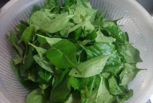 真正的护肝菜就是它每天炒一盘养肝明目肝脏也健康了