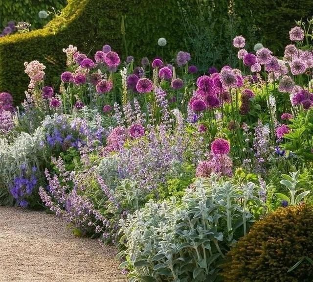 花园单面花境,不折腾,怎么会有这么美的花境!