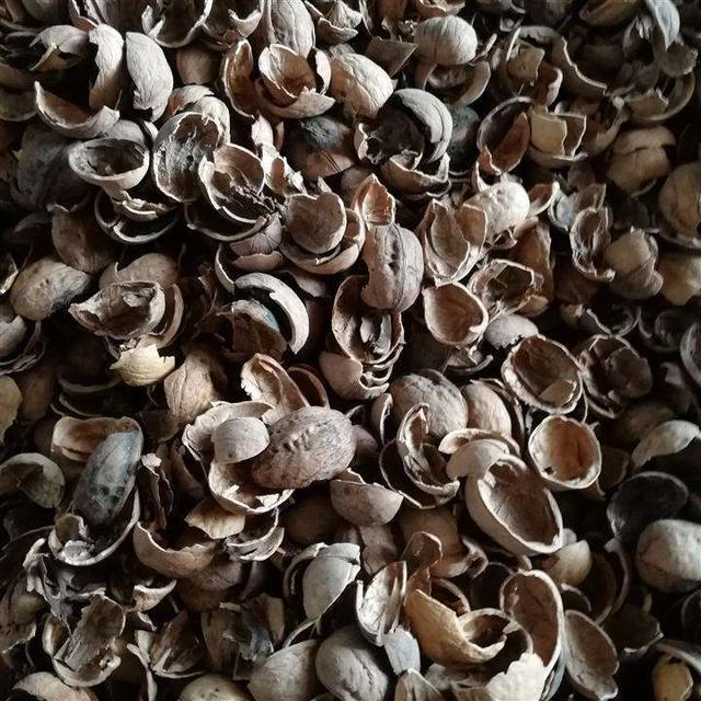 核桃壳不要扔了,用水煮一煮,能解决许多人的烦恼,了解下