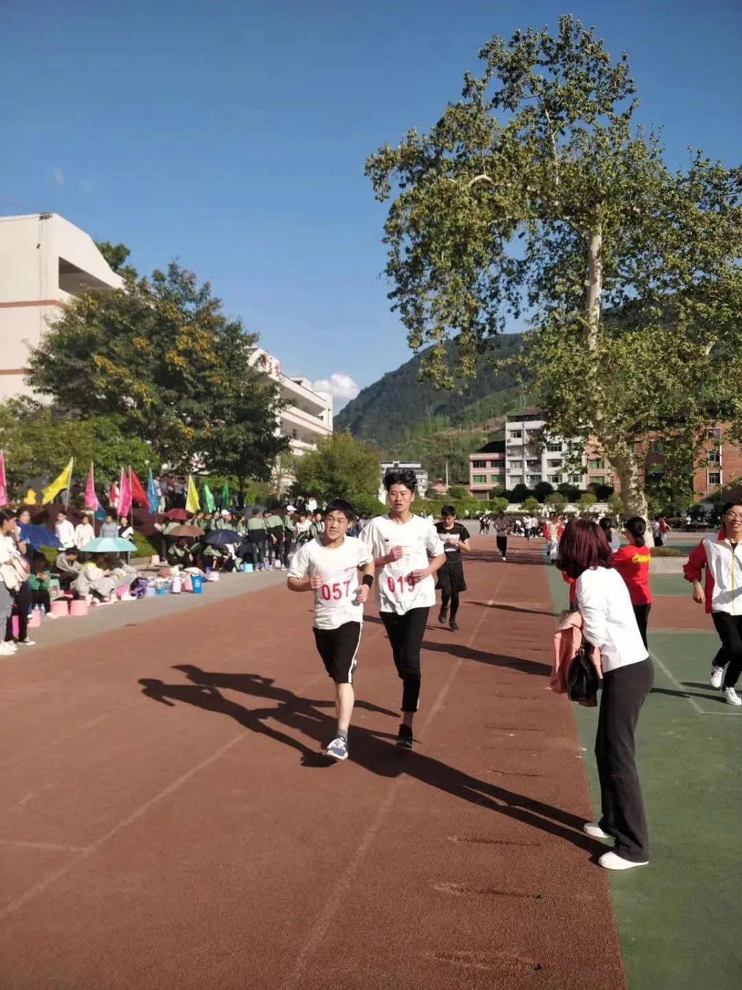 2020高考文科万州排名_万州中学2020年高考喜报(一)