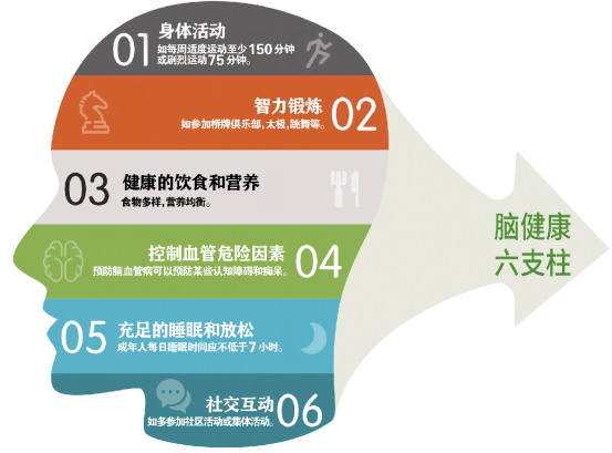 《英国医学杂志》最新发布:保持脑健康,有六大支柱!