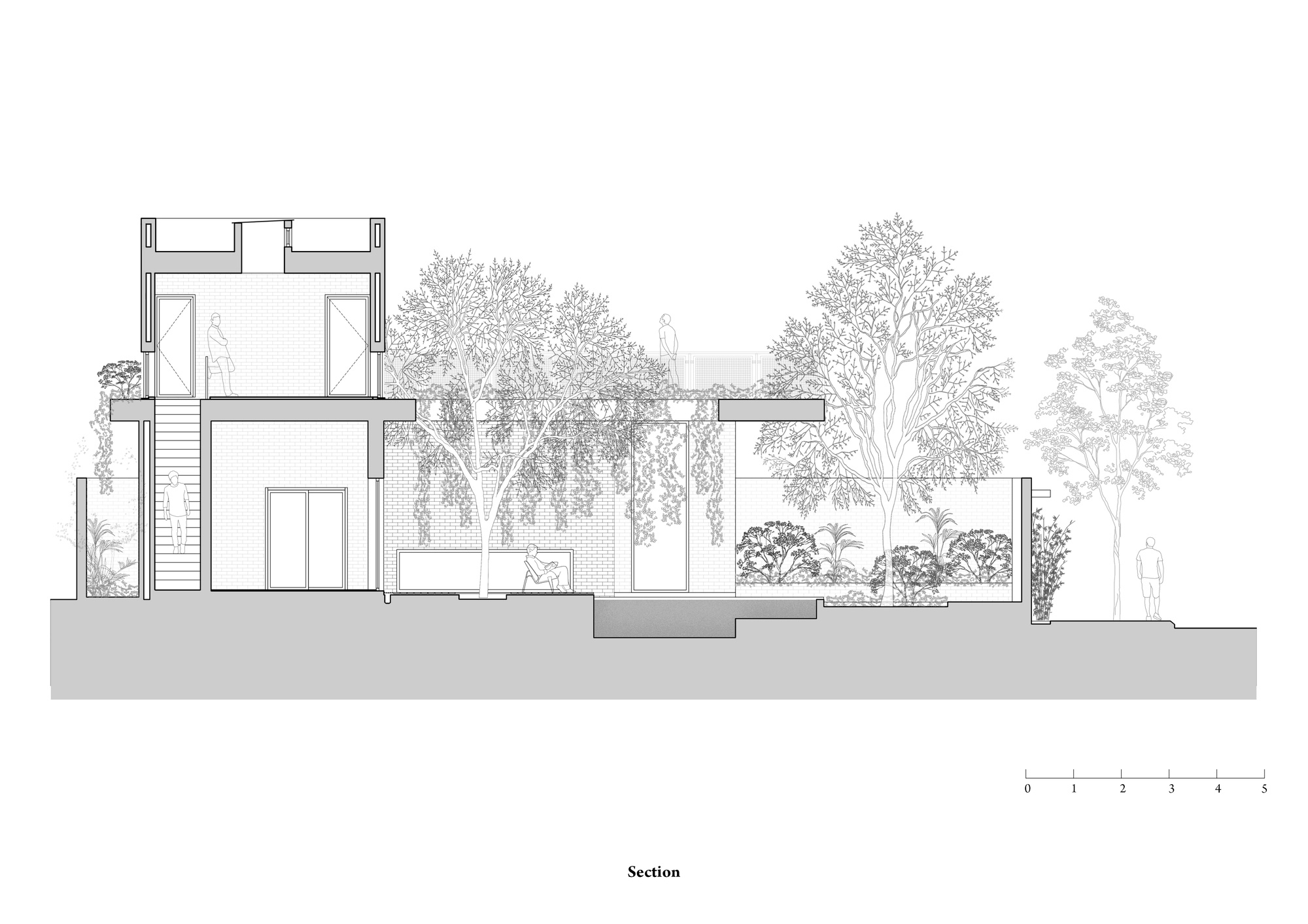 闲赏庭院静观游鱼越南绿幕住宅hgaa