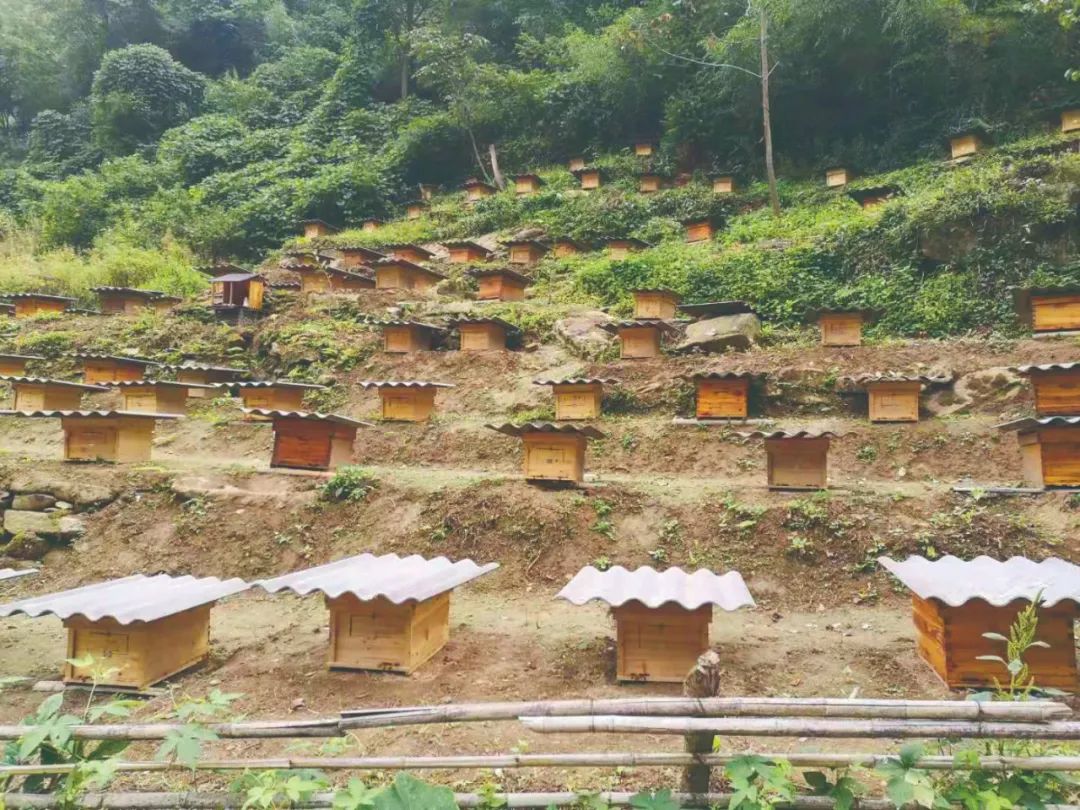 扶贫日 陕西白河县 致富小康不小康 关键还是看老乡 新浪财经 新浪网