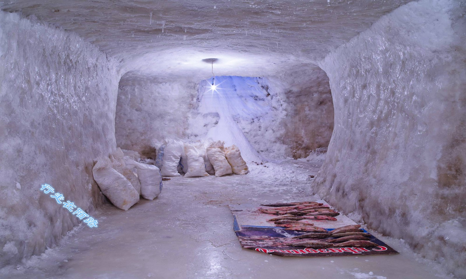 西伯利亚渔民:用天然冰窖冷藏渔获,送到市里一趟赚3万