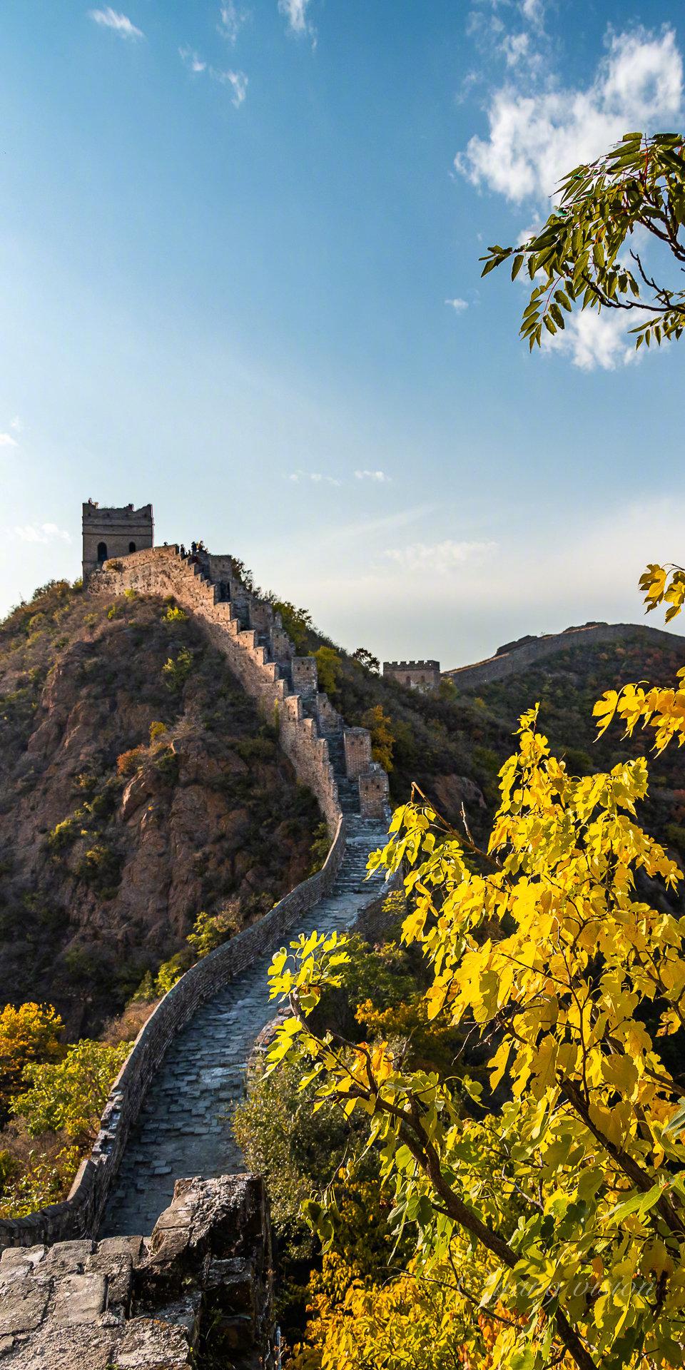 万里长城金山独秀金山岭长城的秋色已到最佳观赏和拍摄期