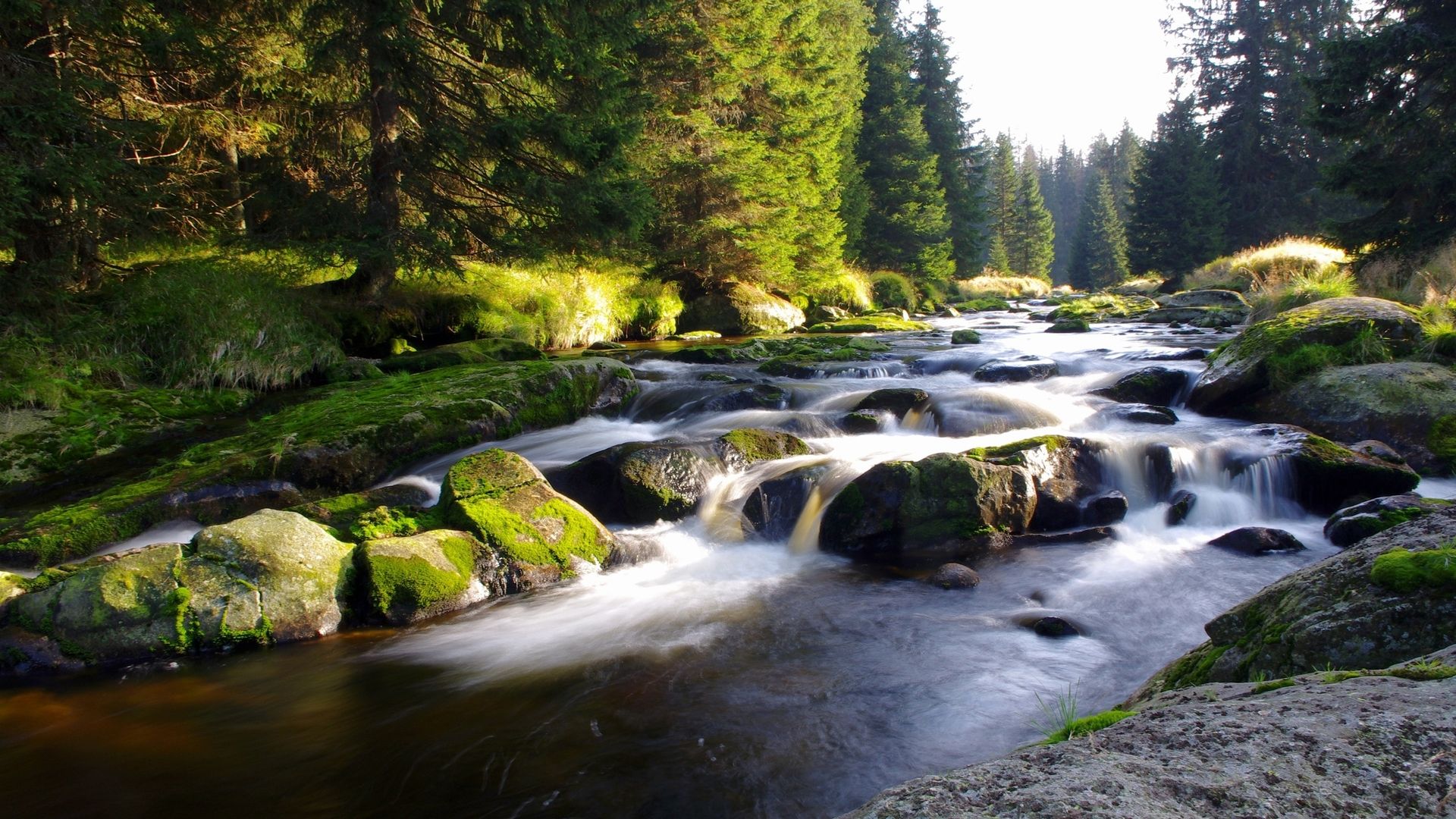 天蝎座绝对是一支潜力股,他们总是韬光养晦,在暗处默默积蓄着能量,让