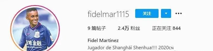 申花来外援了？球员自导自演加盟球队，曾被曝自费试训休闲区蓝鸢梦想 - Www.slyday.coM