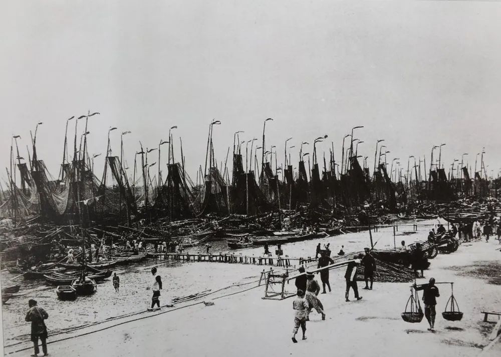 记忆杨浦滨江的上海鱼市场你了解ta的过去吗