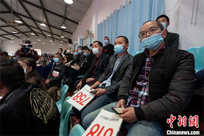 竞拍现场 刘博文 摄