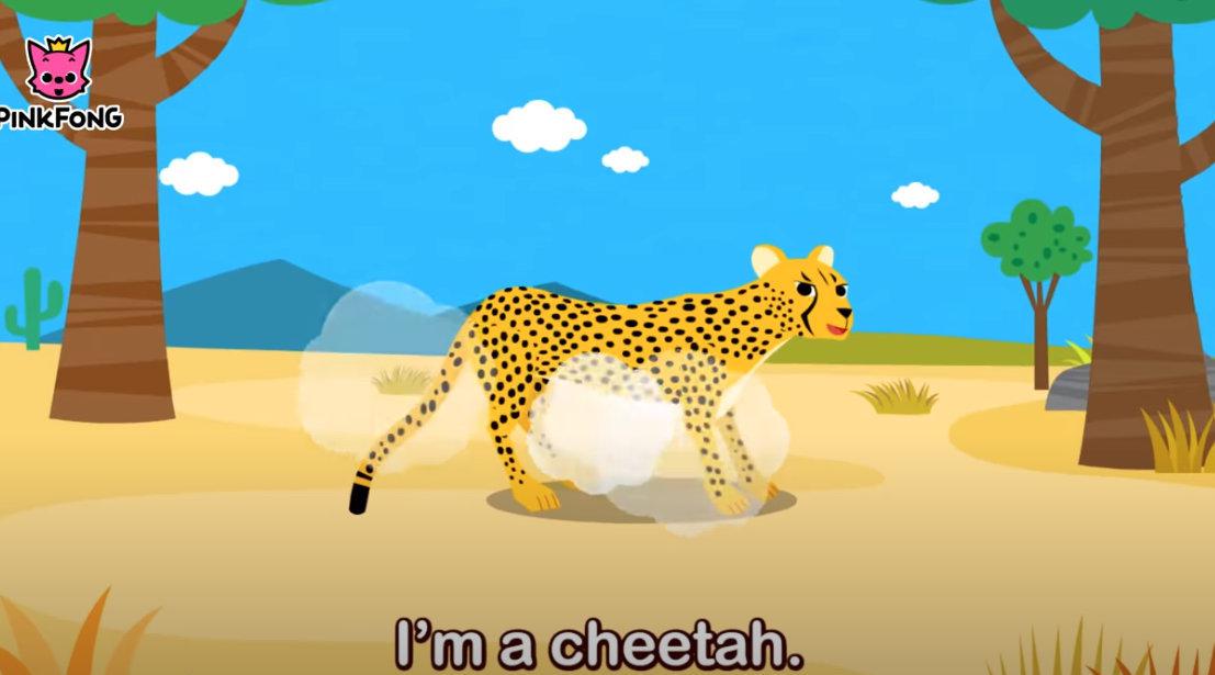 英语启蒙 cheetah bang bang