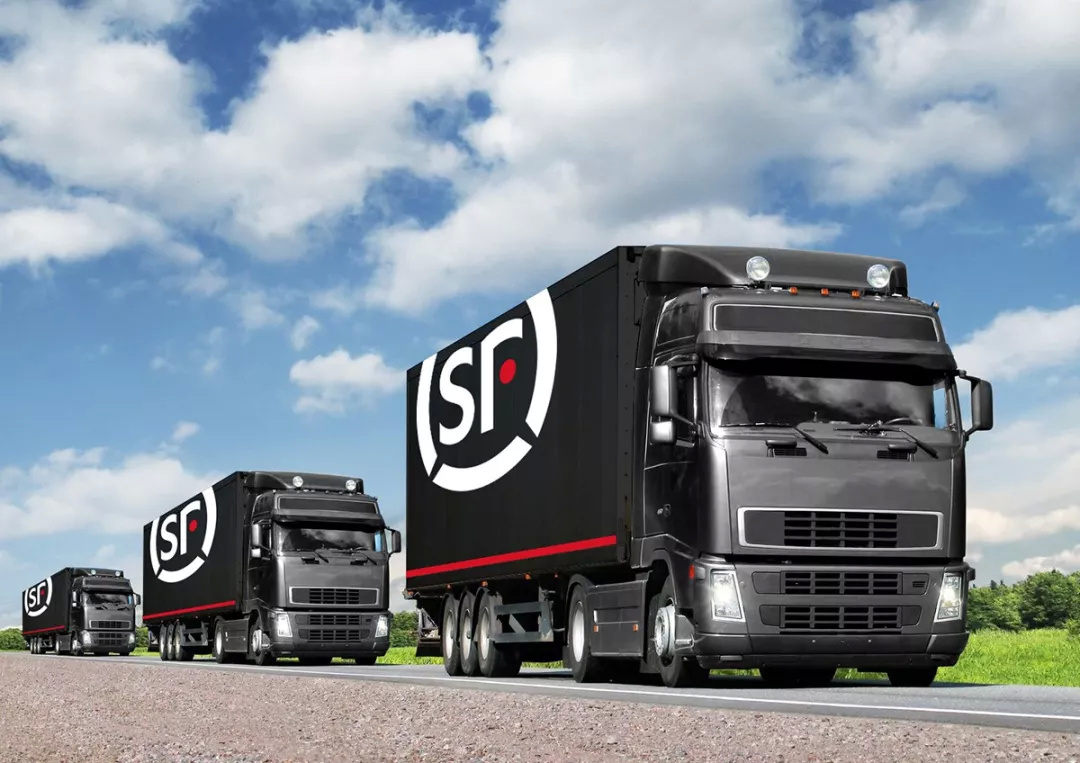 顺丰寄活体猫方法 活体宠物快递注意事项