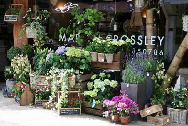 对此,弗洛花园的创始人在接受采访时表示,当前弗洛花园的目标,就是