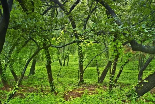 听说刘公岛的秋天加了"滤镜",快来一次美好的相遇吧!