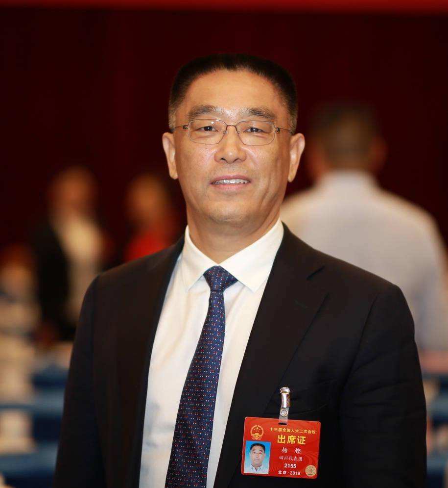 四川省十一位百亿富豪,坐拥3250亿财富?未来发展你更看好谁