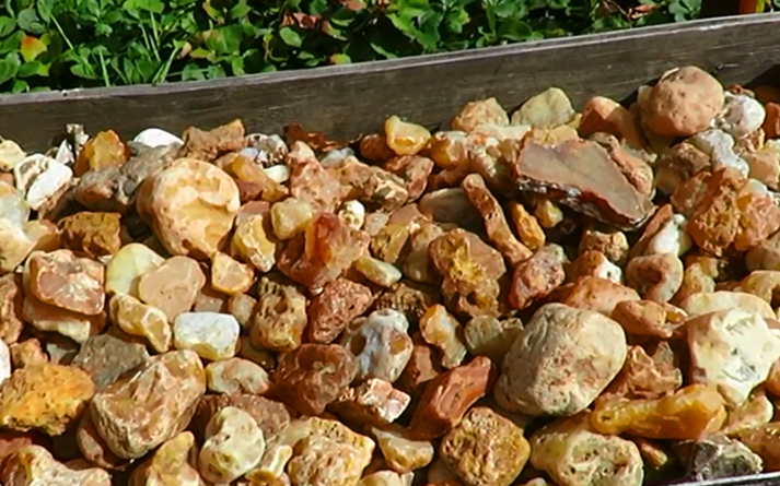 男子捡了几筐"破石头"回家,切开后,发现里面另有乾坤