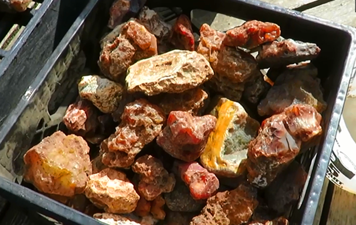 男子捡了几筐"破石头"回家,切开后,发现里面另有乾坤