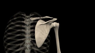 每天做俯卧撑居然有这么多好处?来这,让你知道它的魅力