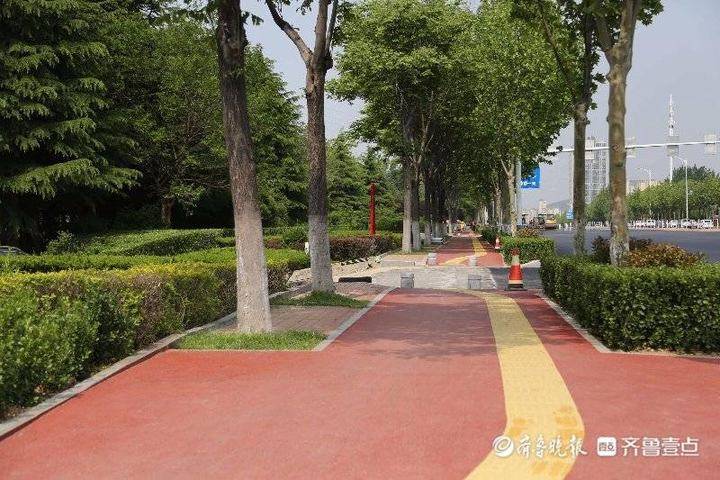 80公里"彩虹"慢道扮靓港城,烟台继续完善出行系统
