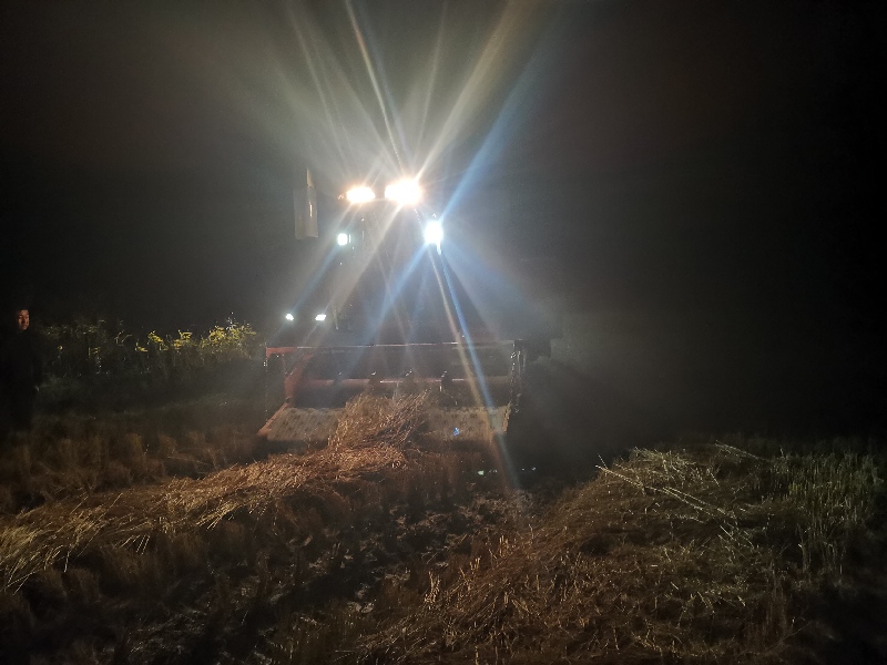 黑龙江省前哨农场昼夜收割夺秋粮丰收