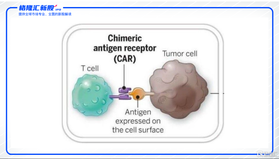 "药明系三号"通过聆讯,药明巨诺有何不同?|car-t|药明康德|美元_新浪