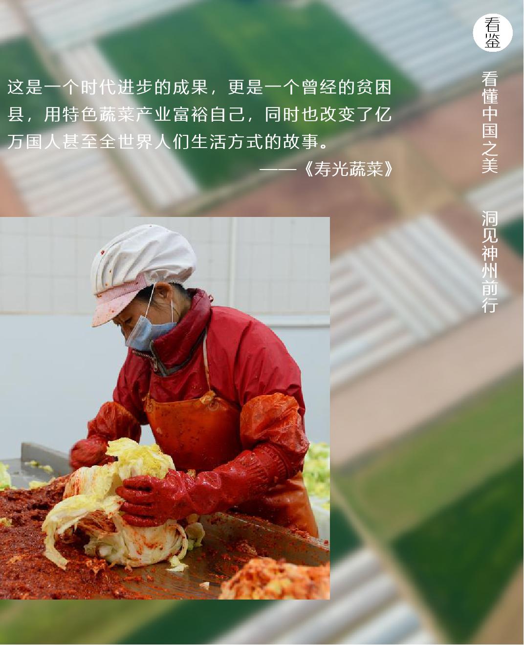 让韩国人今年餐桌上还有泡菜 全靠山东这个小城