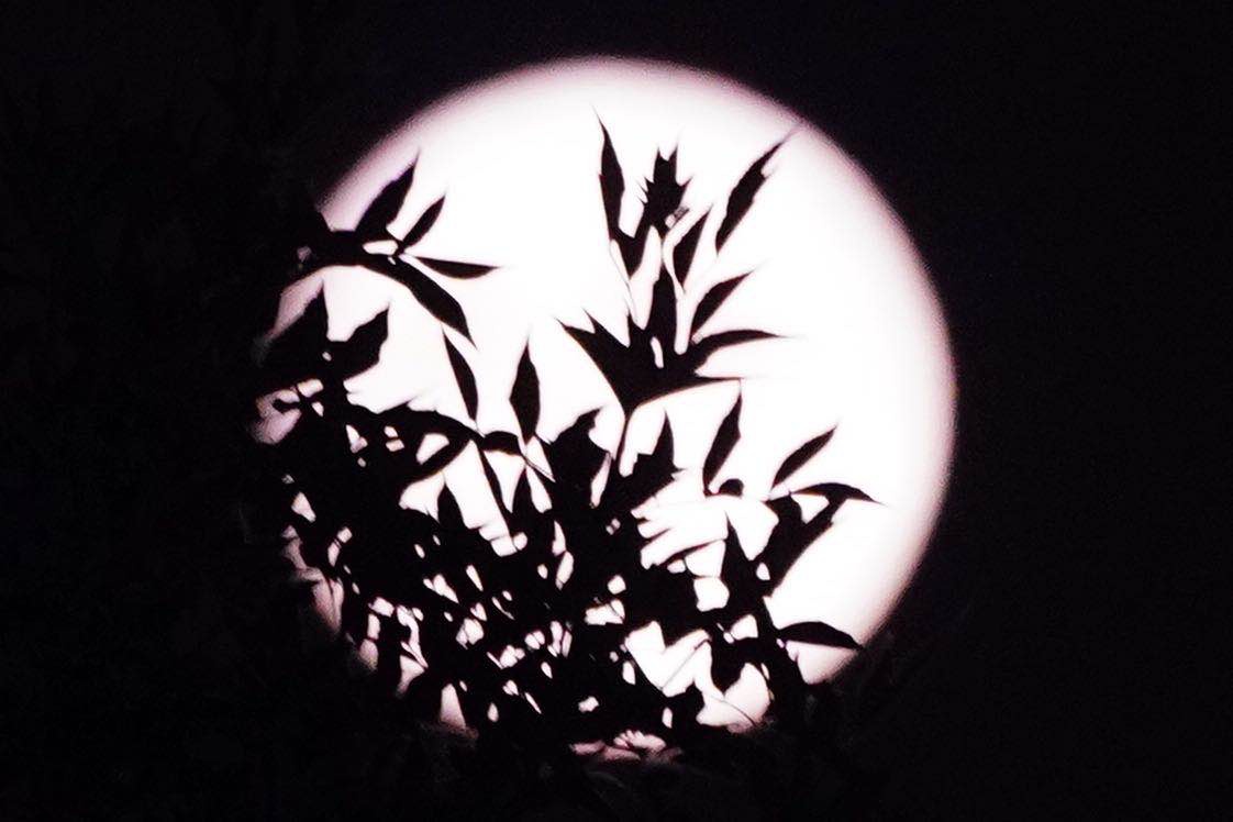 北京今夜最美的月色,都在这里!