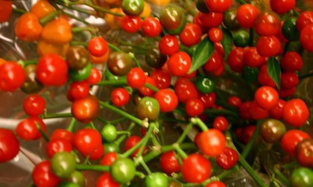 2020届湖南省美术联_湖南省中南艺术学校举行了2020届(艺术联考冲刺动员(2)