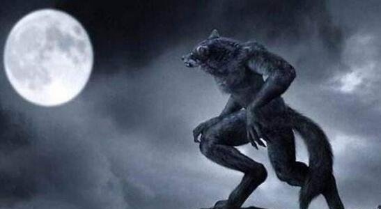 月下人狼 新浪网