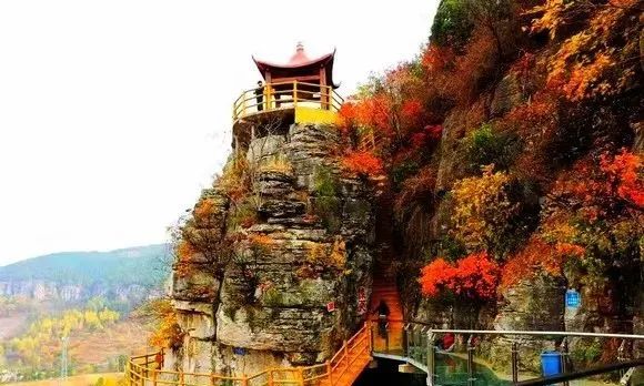 【周末特惠枣庄自驾】走进抱犊崮国家森林公园 葫芦套风景区 感受秋日