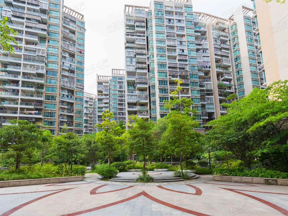 潜龙学校排名2020_“2020年围棋大师龙华行”进校园:走进潜龙学校